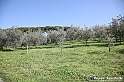 VBS_7141 - PressTour educational dedicato ai vini del Pinerolese e all’olio prodotto sulla collina di Pinerolo